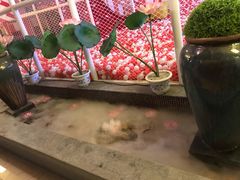 -菲拉拉漫温泉(东环路店)