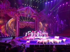 -珠海横琴长隆《卡卡虎奇遇记》