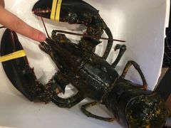 -新港海鲜酒家