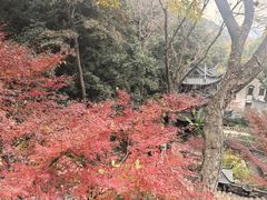 -北高峰