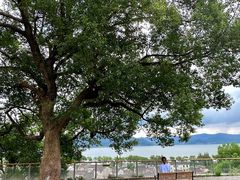-东钱湖小普陀景区