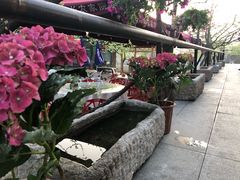 炖汤河鱼-老村长农家院