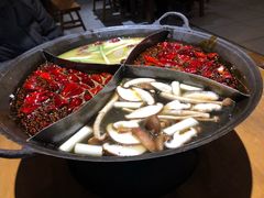 -白乐天毛肚火锅馆(解放碑店)