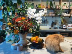 -自由生长植物工作室(深港花卉中心店)