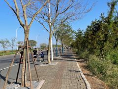 -南汇嘴观海公园