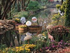 -上海共青森林公园