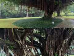 -南宁南湖公园