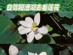 -重元寺