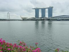 -新加坡摩天观景轮