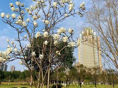 -院士公园