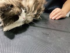 -宠颐生动物医院·小陆分院