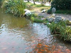 -西湖外事游船(花港观鱼码头)