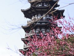 -洋湖国家湿地公园