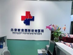 -欧奕国际动物医院