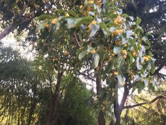 -昆山城市公园