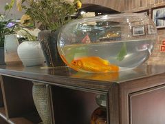 -毛家饭店·融合新湘菜·主题宴(齐鲁软件园店)
