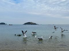 景点-傅家庄公园