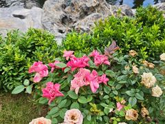 -顺德渔村·岭南一号