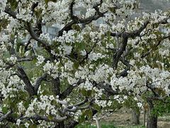-崂山风景区-大河东游客中心