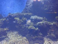 -华夏文旅西安度假区