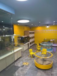 点击看大图 -神奇动物撸宠馆·羊驼·小浣熊·异宠(豫园店)