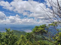 -江西阳明山国家森林公园