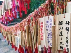 -黄龙溪古镇