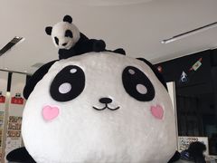 -熊猫邮局(少城店)