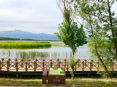 景点-野鸭湖国家湿地公园