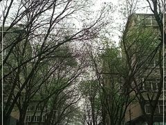 -清真喜兰老丁羊汤特色小吃