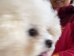 -美联众合24小时·皮肤科·外科·全科诊疗中心(华苑分院)