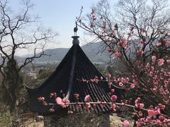 -香雪海