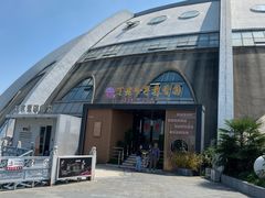 -丁老爷子苏香圆