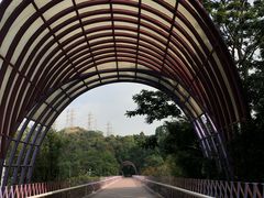 -玉树公园