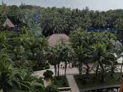 -三亚湾海居铂尔曼度假酒店