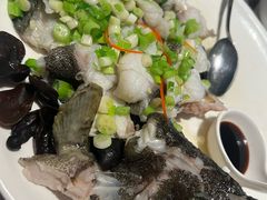 -新兴·金羊座·粤菜点心(乐峰店)