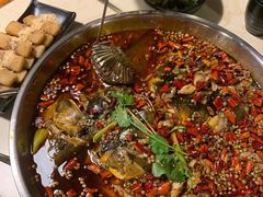 -味之绝热血美蛙鱼火锅(中坝店)