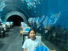 -海棠湾洲际-涛·海底餐厅·美人鱼·自助餐·海底隧道