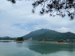 -广州市流溪河国家森林公园