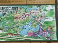 -大塘金香草谷