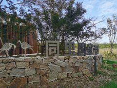 -同里国家湿地公园