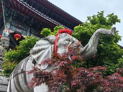 -九华山风景区