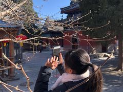 -大觉寺-停车场