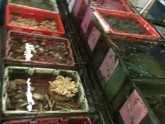 -新河畔海鲜酒楼(虎门店)