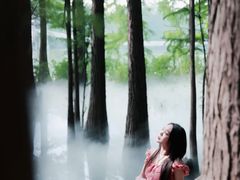 -东湖落雁景区