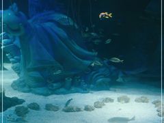 -沈阳海洋探索中心