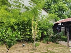 -柴米油盐(土菜院子店)