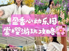 -盈香心动乐园