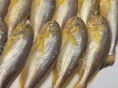 -龙宴海鲜城(经中路店)