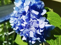 -老陕一碗(八达岭奥莱店)